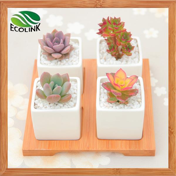 Four-Combination-Square-Ceramic-Succulent-Pot-with-Bamboo-Stand (1).jpg
