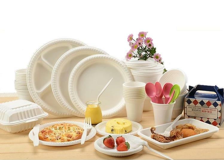 Biodegradable Disposable Oval Sugarcane Plate