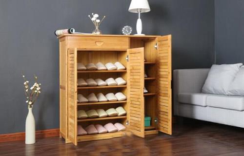 shoe rack door