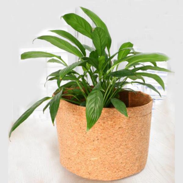 pots