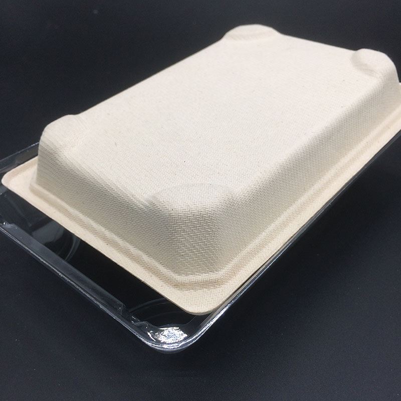 disposable tray