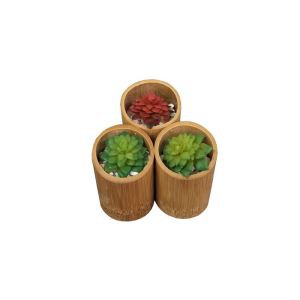 Bamboo Garden Flowers Pot
