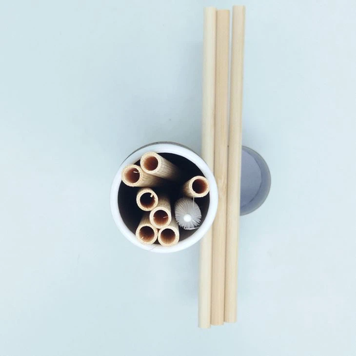 Bamboo Straw With Biodegradable Bottle