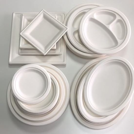 Compostable Biodegradable Corn Starch Plates