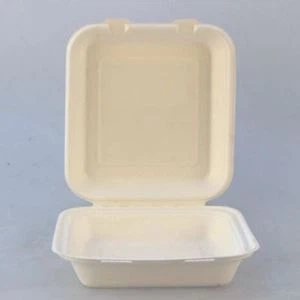 Compostable Sugarcane Fiber Lunch Box