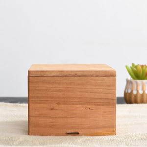 cremation urn for pets