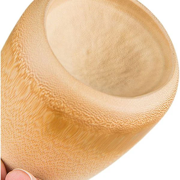Natural Succulent Plant Pots