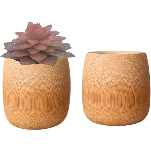 Natural Succulent Plant Pots