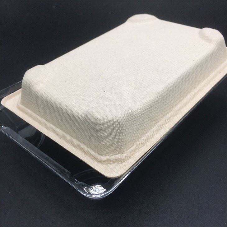 Sugarcane Bagasse Sushi Container With Lid