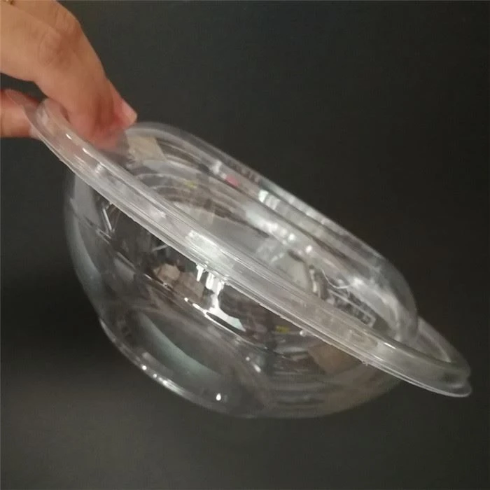 Disposable PLA Salad Bowls With Lids
