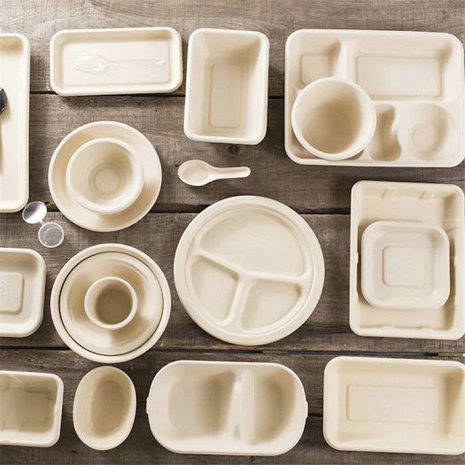 Rectangle Sugarcane Tray 5 Compartment Trays With PET Lid