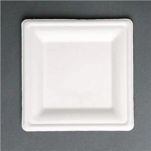 Biodegradable Sugarcane Pulp Square Plate