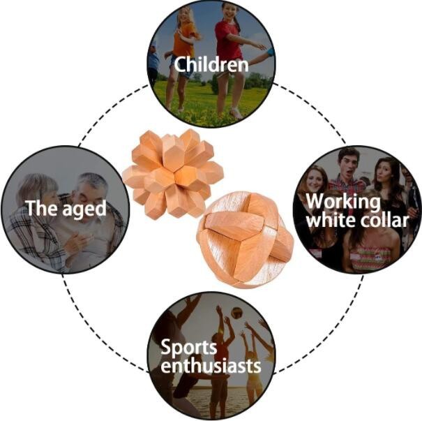 Wooden Brain Teaser Iq Challenge Toy Gift Set 3D Small Puzzles